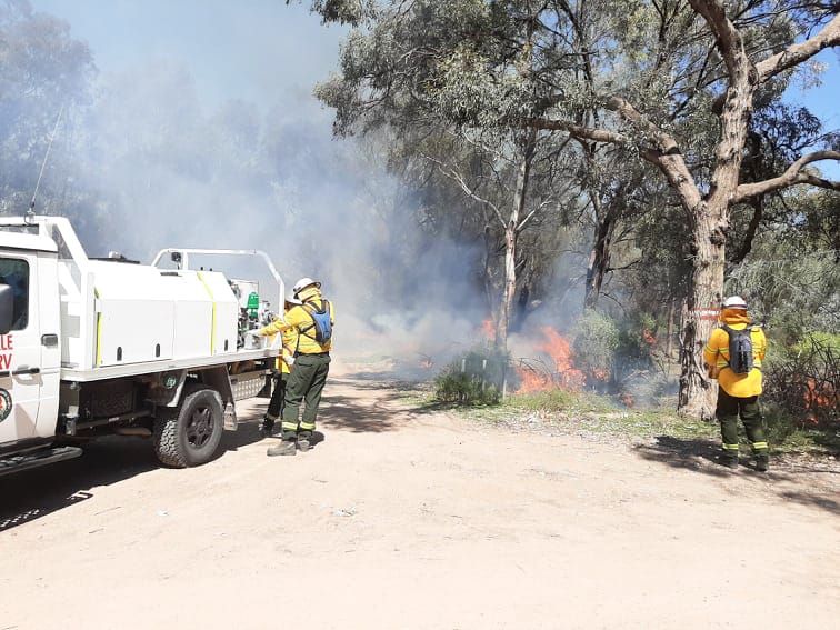 Local parks firing up for prescribed burns post image