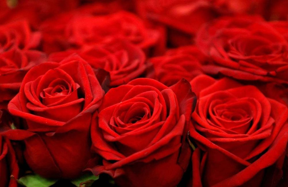 Tuesday night romantic dinner? Say yes post image