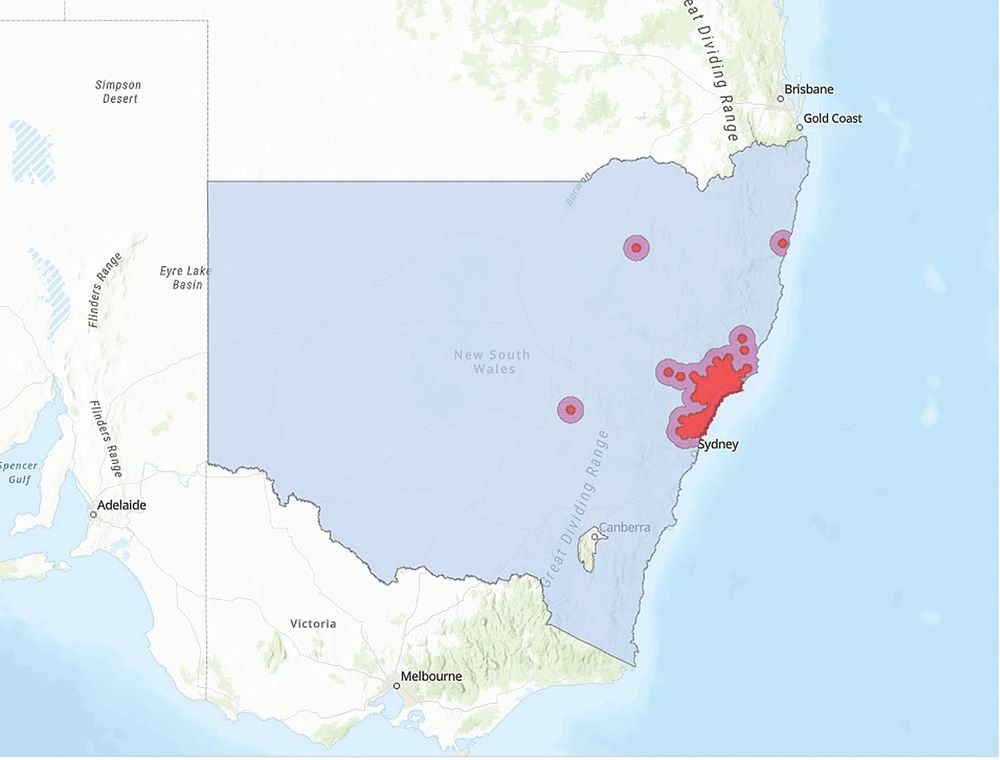 Demand jacks up the hive price post image