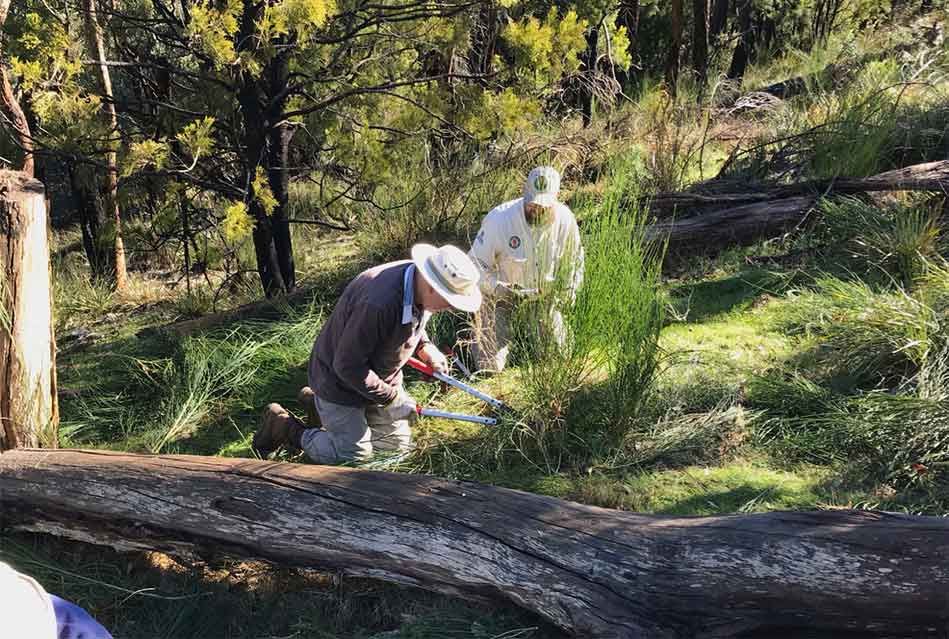Funding available for nature-based projects post image