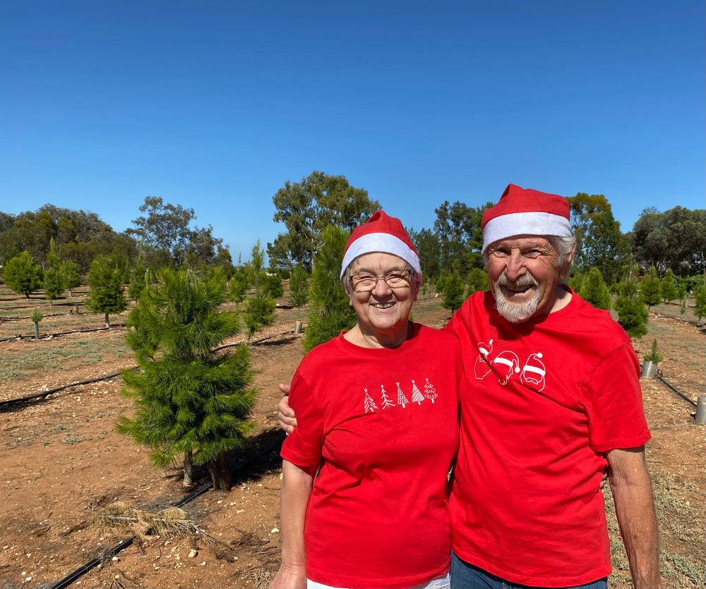 O Christmas Tree, O Christmas Tree: 20 years of festive magic with Ed and Marg post image