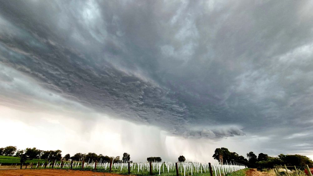 Winter weather warning for Riverlanders post image