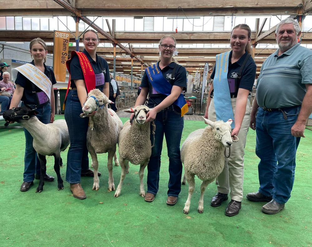 All’s wool that ends wool for RHS’s Phoebe post image