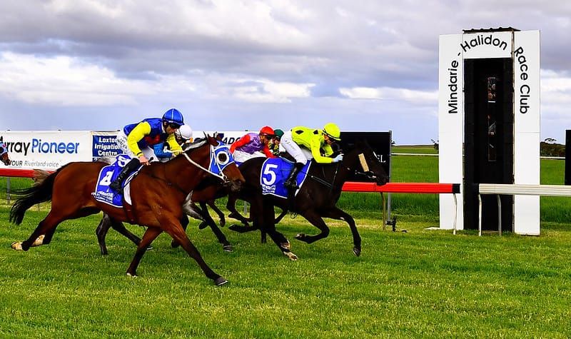 Track ‘superb’ for $200,000 cup day post image