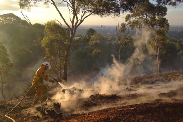 Prescribed burns hit the autumn mark post image