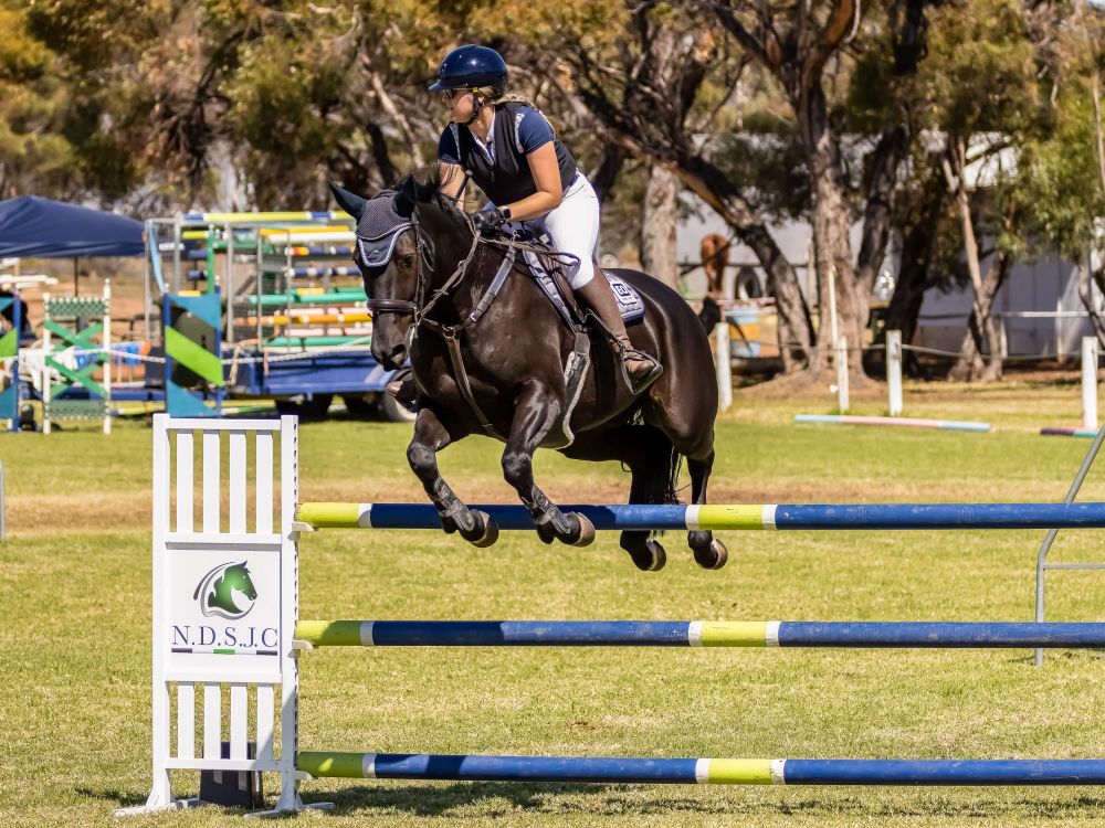 Waikerie the equestrian destination post image