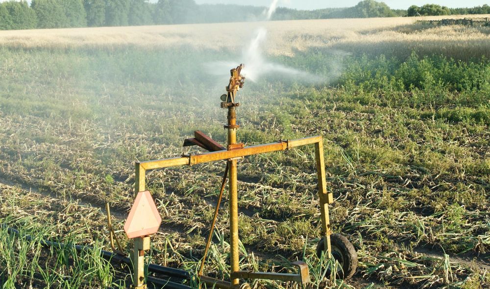 Opening allocations straight to the top post image