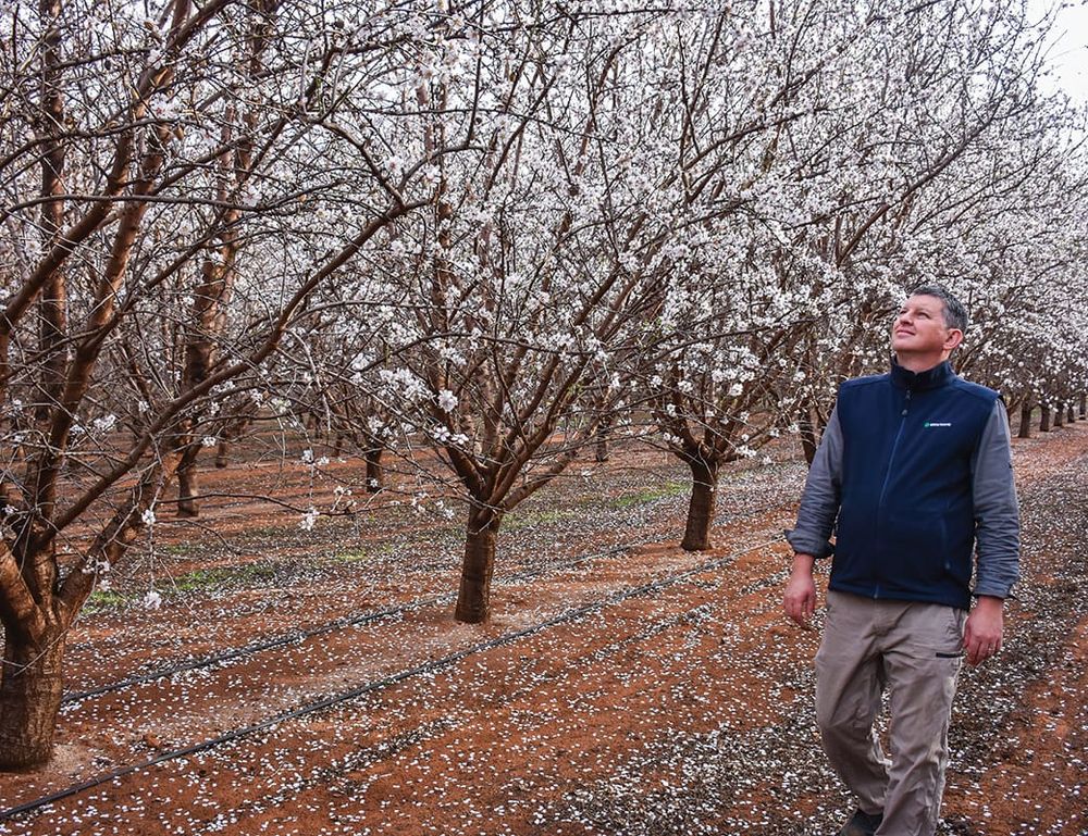Border rules impacts Lindsay Point farm post image