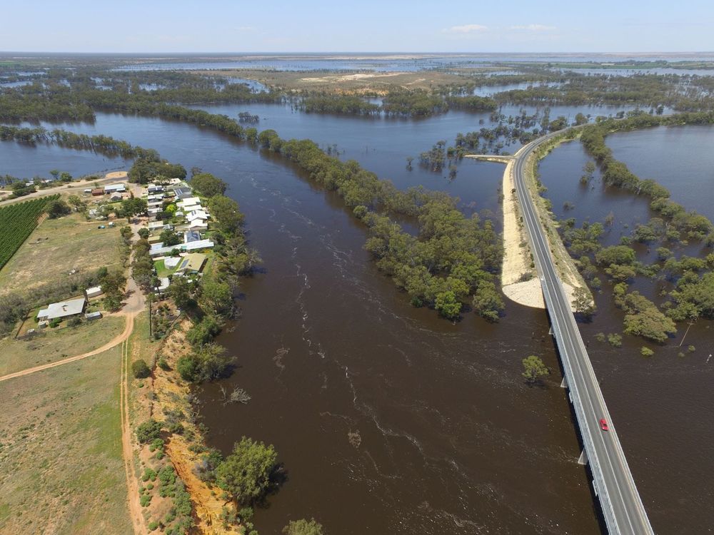 Owners thank community for support after KOM park evacuated post image