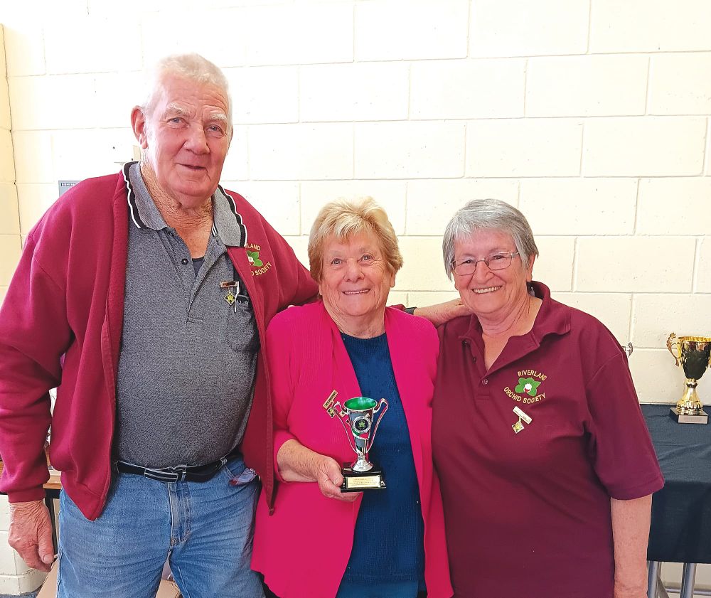 Champions crowned at orchid meeting post image