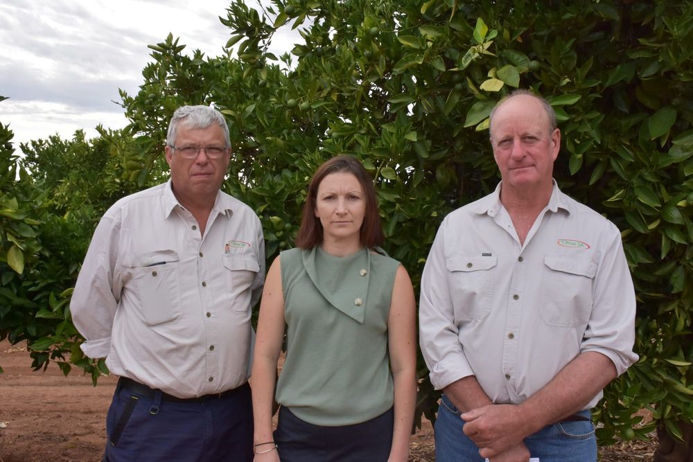 Buybacks will ‘hurt’ regional economies post image