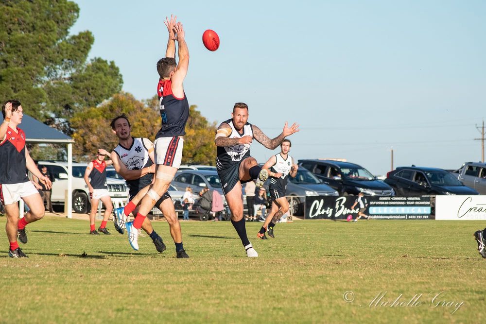 Goliath trounces David post image