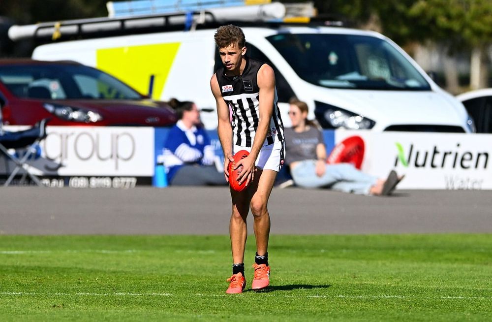 RFL end of year report cards: Waikerie post image