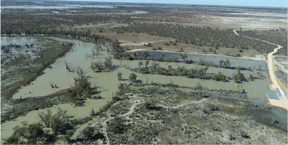 High flows ‘fantastic’ for our local floodplains post image