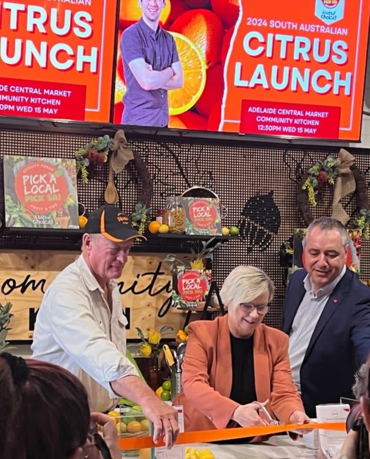 Citrus season full of promise post image