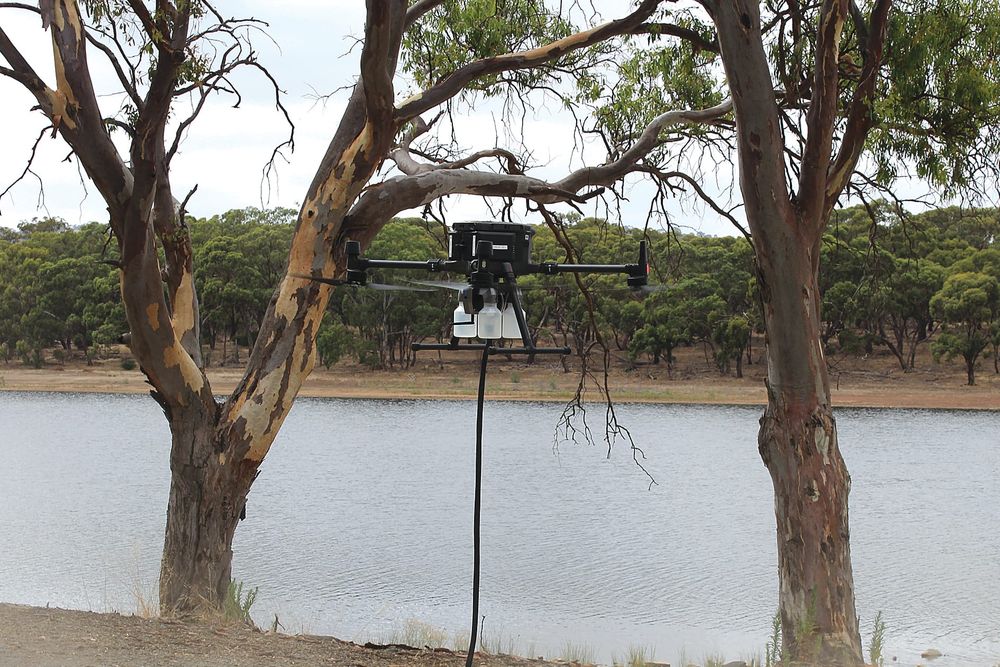 SA Water drones take to Riverland skies post image