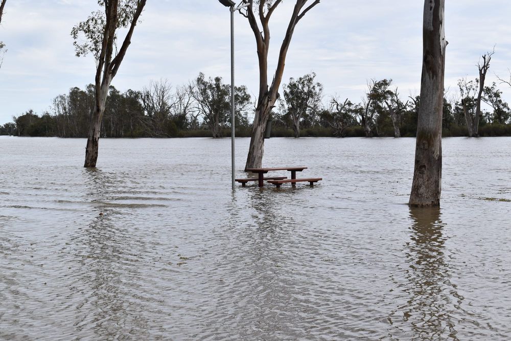 High river impacts Loxton Waikerie infrastructure post image