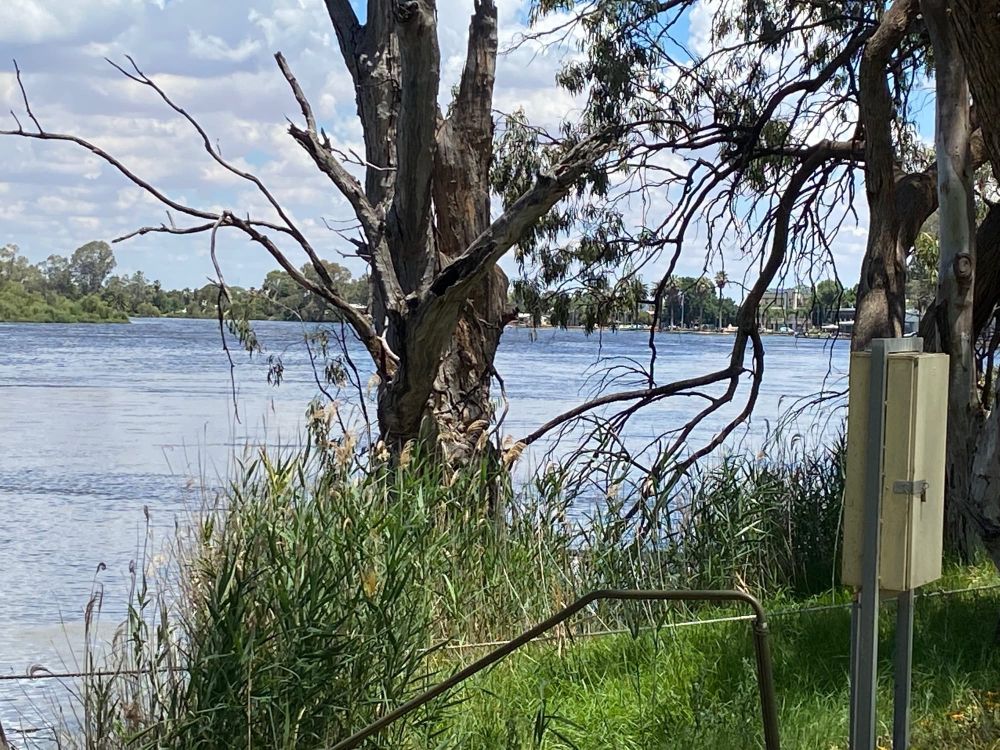 Peak to hit Renmark ‘in days’ post image