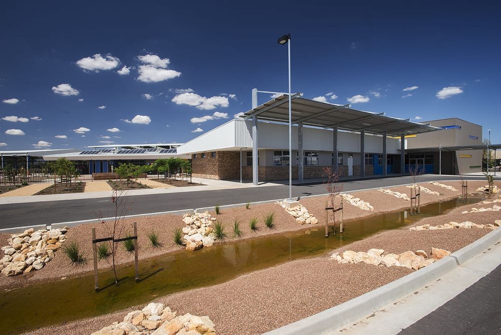 Diana recognised for exceptional volunteer efforts post image