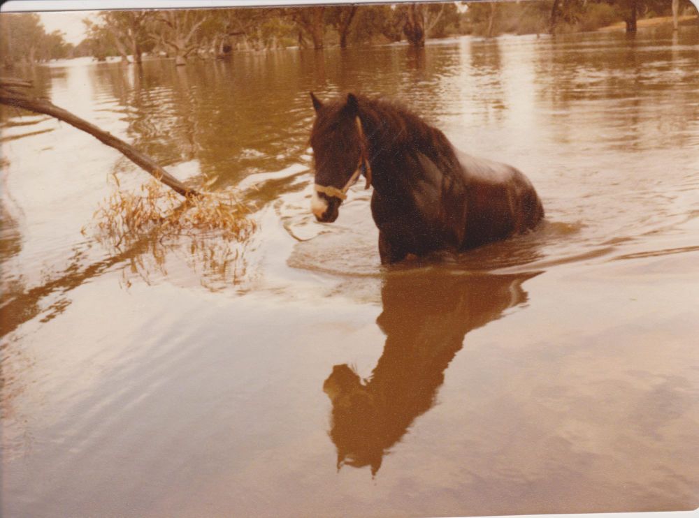 Qualco resident reflects on flood post image