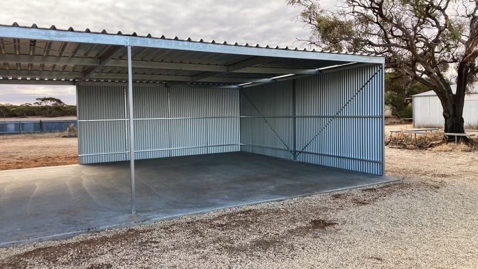 Cup day’s 2024 comeback post image