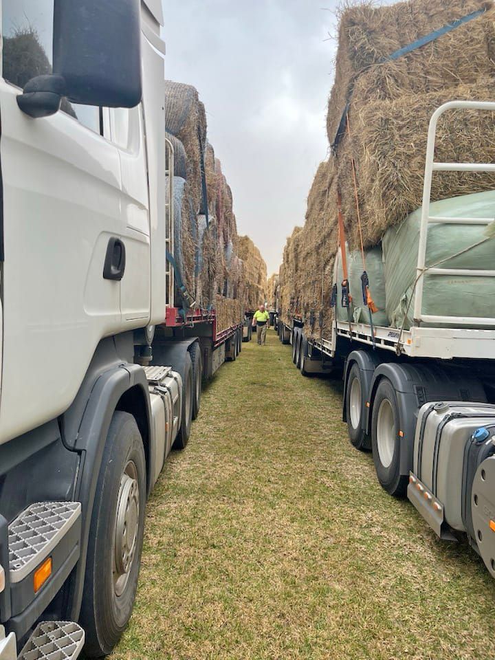 Donated hay on the way to Paruna post image