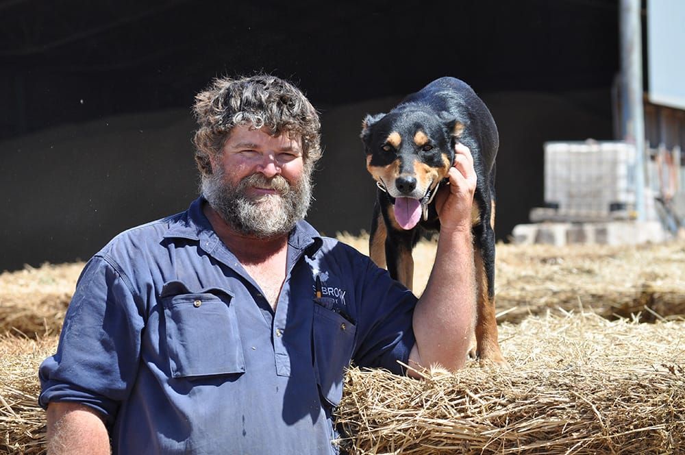 Lee and Toby back in business post image