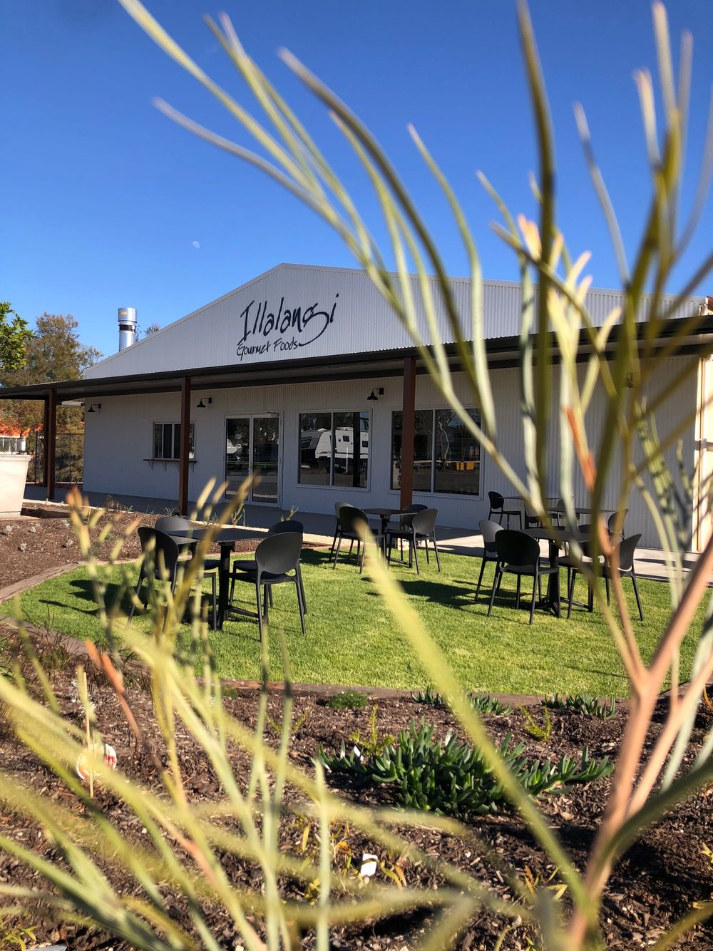 Fulfilling a passion of adding value to Riverland produce post image