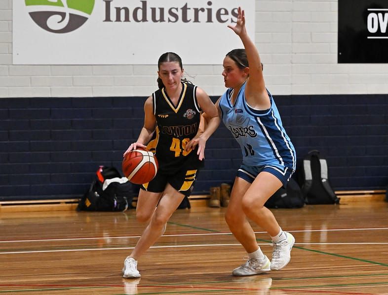 Basketball finals series ready for tip off post image