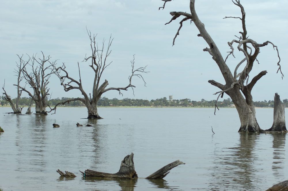 Effects down river as Victoria pauses environmental water projects post image