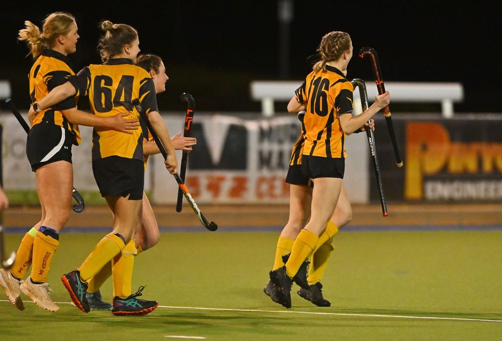 Tigers triumph over the border post image