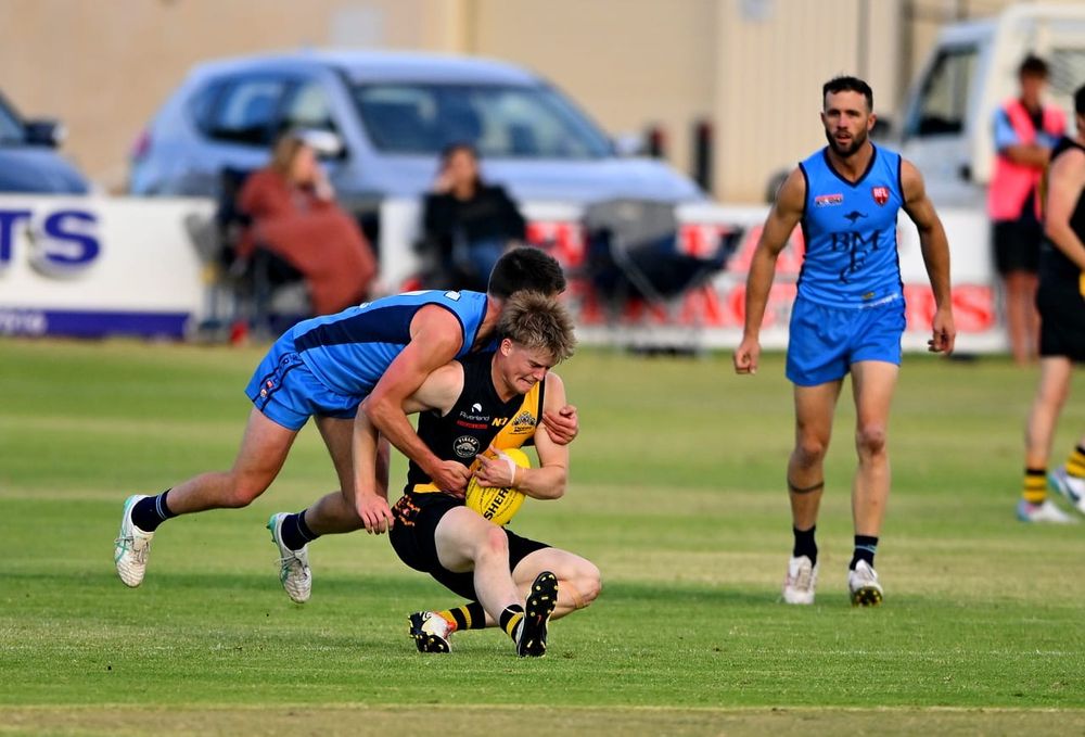 Roos flex their muscles at home post image