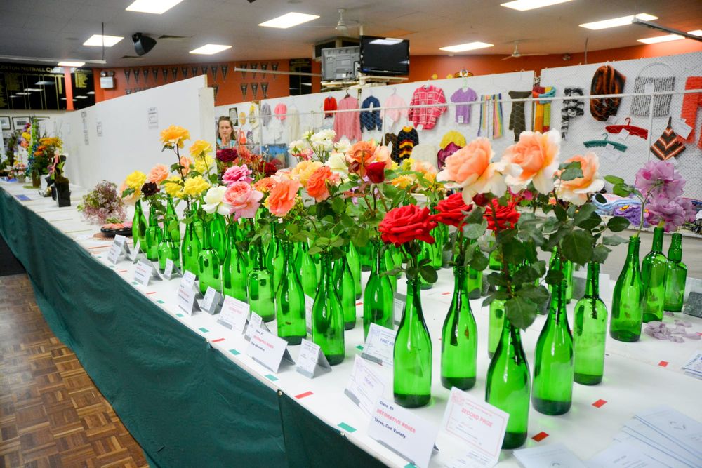 Loxton Show plans on track post image