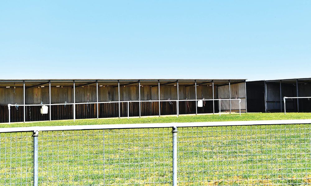 Racing SA backs club post image