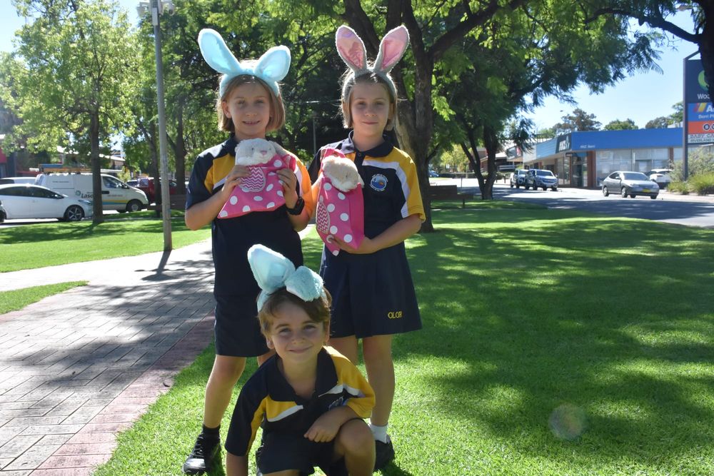 Ready for a Berri hoppy Easter carnival post image