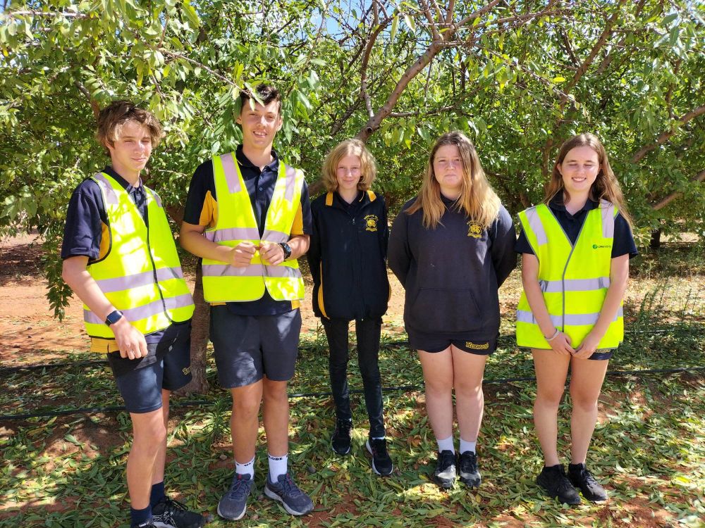 Students tour Loxton almond farm post image