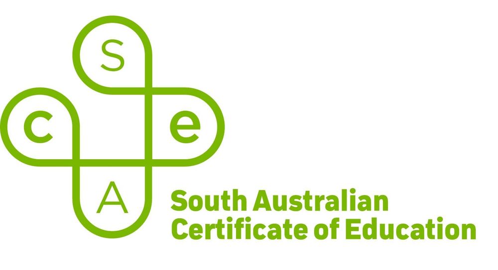 Local SACE achievers awarded with merits post image