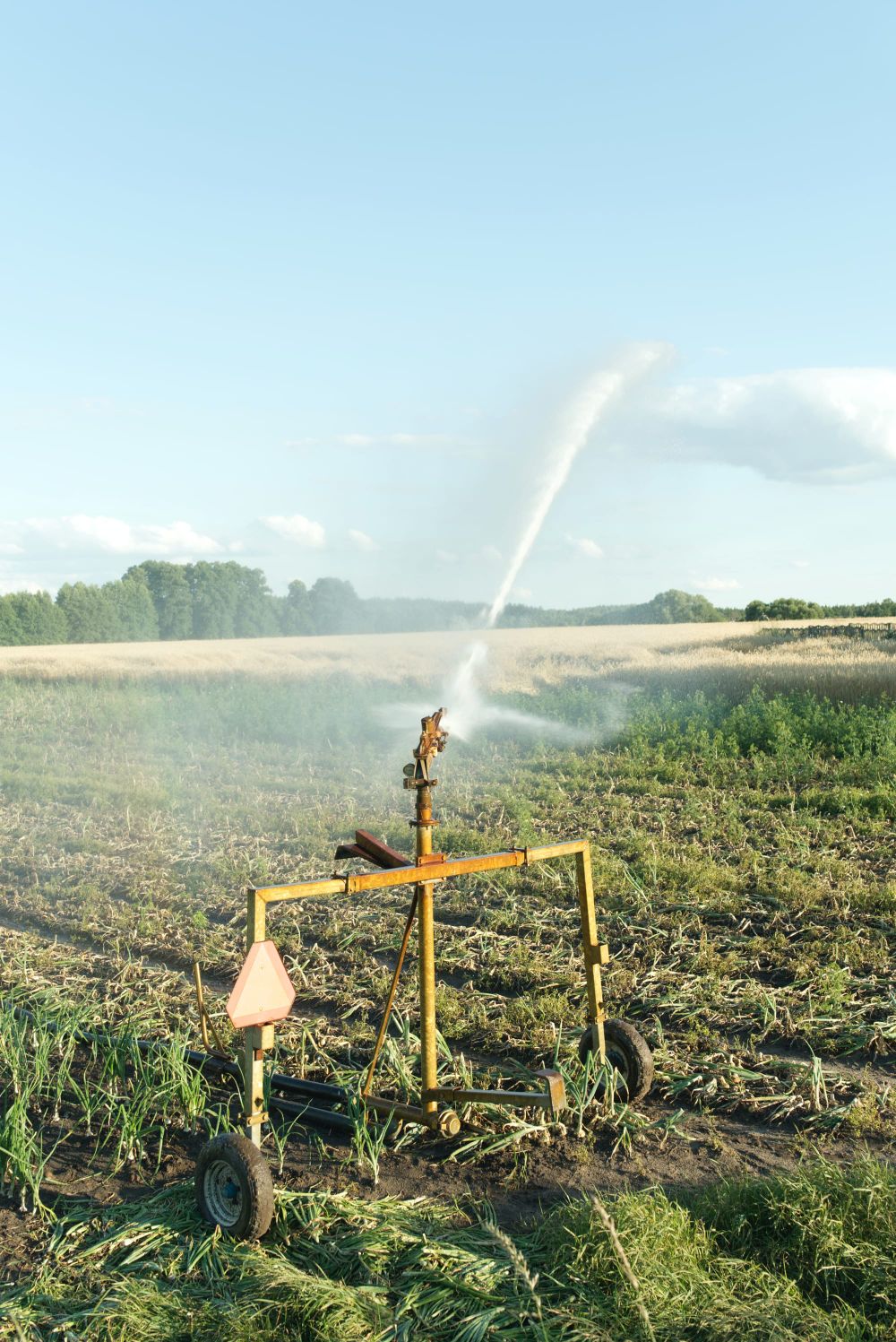 Future water security a priority in new policies post image