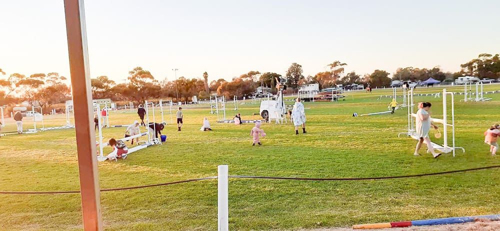 ‘Biggest and best’ horse show in years post image
