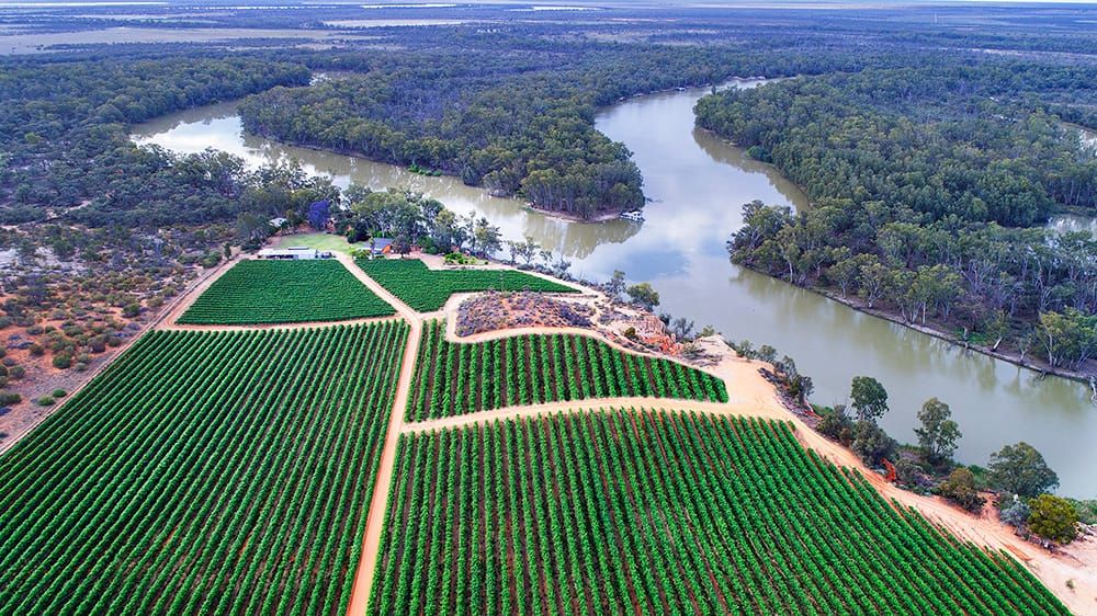 An early allocation win for our irrigators post image