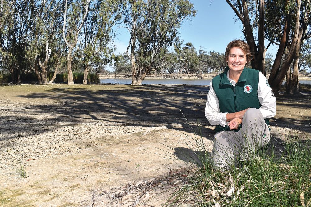 Have your say on sandbar’s future post image