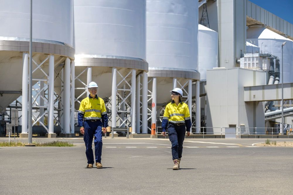 Bumper grain harvest equals bumper Viterra jobs post image