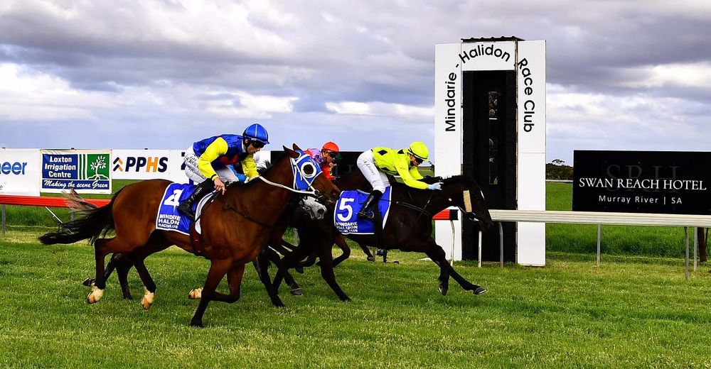 Magical mare lands cup post image