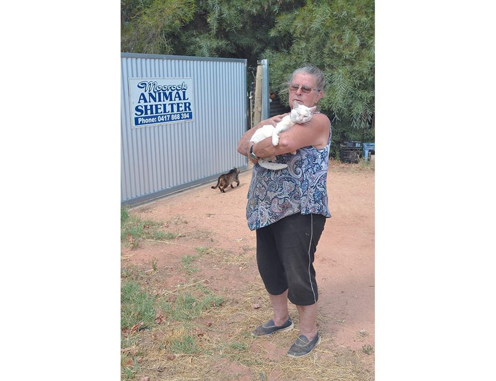 Shelter loses recovery appeal post image