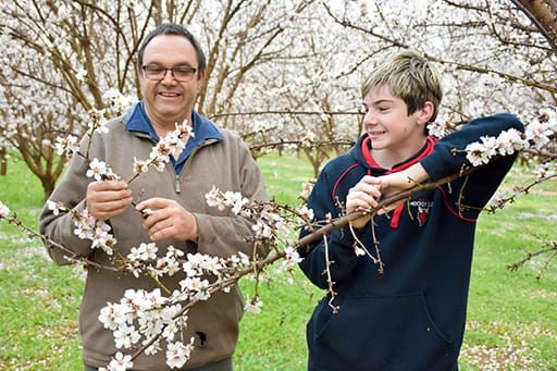 Riverland irrigators beaming as water allocations reach 100 per cent… RAIN, RAIN, EVERYWHERE post image