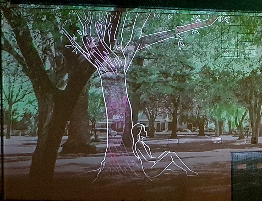 Hope for more projections on Bonney Theatre after successful first showing post image