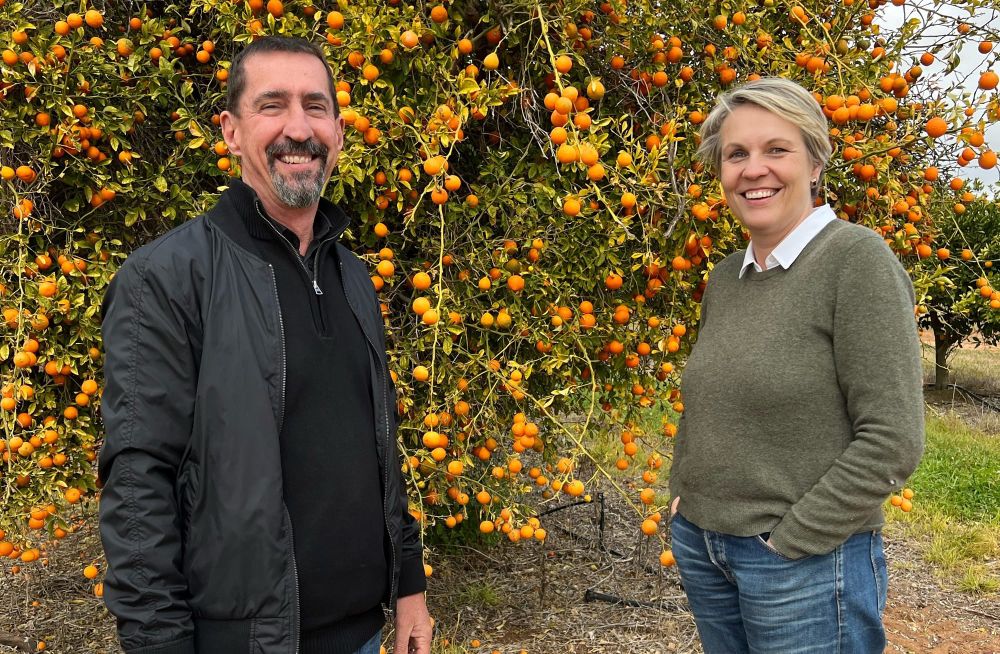 Plibersek’s flying Riverland visit post image
