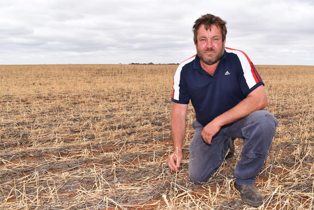 Entire paddocks, sheds and livestock lost post image