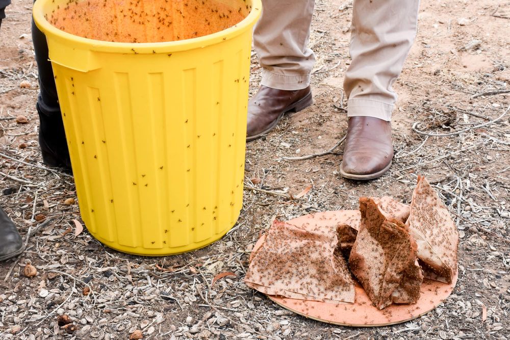 Fruit receipts no longer adequate post image