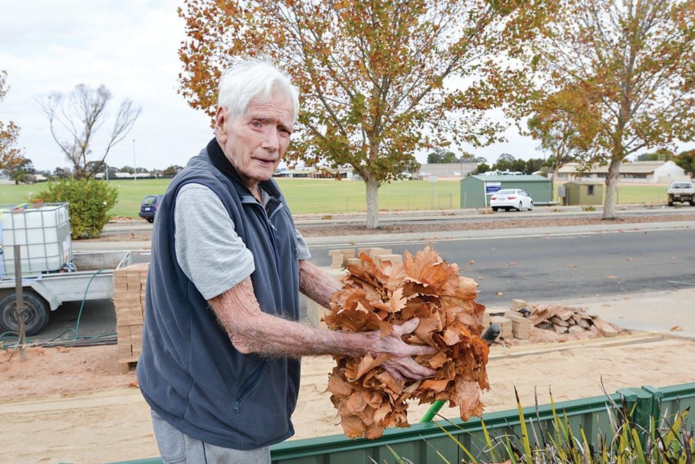 Council keeps trees, avoids ‘Pandora’s box’ post image